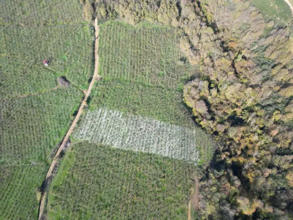 Satılık Arsa - Lütfiyeköşk Mahallesi, 2700 m² — görsel 3
