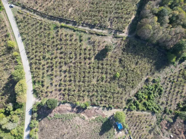 Satılık Arsa - Tagorek Mahallesi, 9530 m² — görsel 5