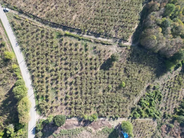 Satılık Arsa - Tagorek Mahallesi, 9530 m² — görsel 6