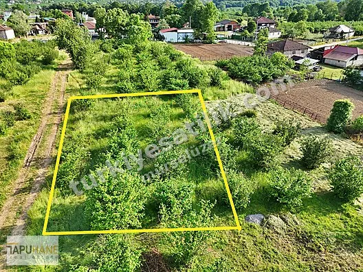 TAPUHANEDEN AŞAGI ÇALICA KÖY MERKEZİNDE 450 M2 İMARLI ARSA