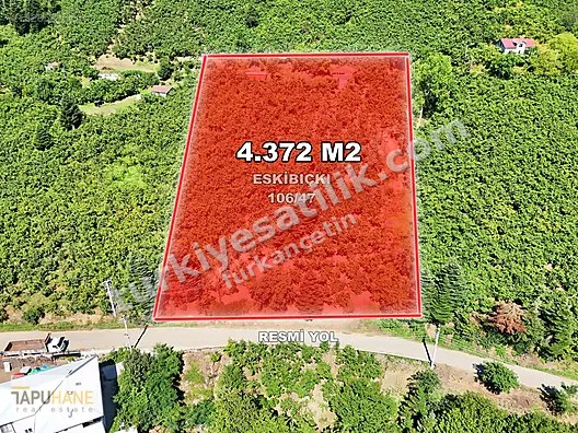 TAPUHANE'DEN E.BIÇKIATİK KÖYÜNDE 4.372 M2 SATILIK FINDIKBAHÇESİ