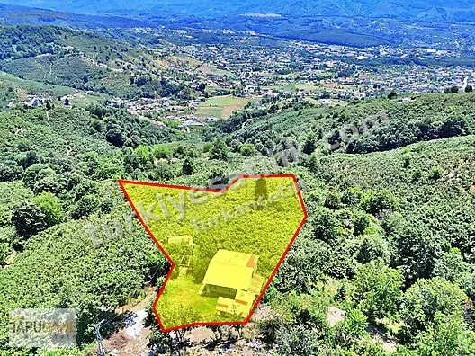 TAPUHANEDEN AKYAZI'DA 8.122M2 ARSA İÇİNDE MÜSTAKİL EV