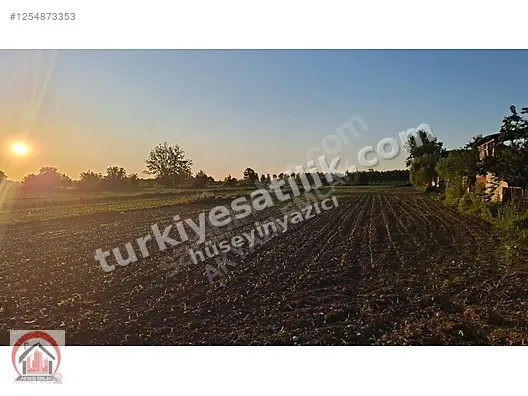 AKYAZI EMLAKTA KARAÇALILIK'TA İMAR SINIRINDA 4 DÖNÜM TARLA