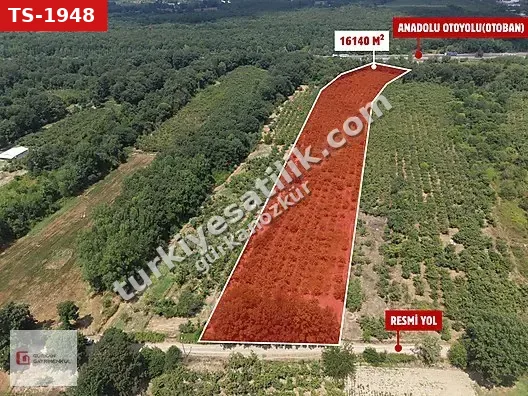 GÜRKAN GAYRİMENKUL KARGALIYENİ MH.OTOBAN KENARINDA 16140 M2 ARSA
